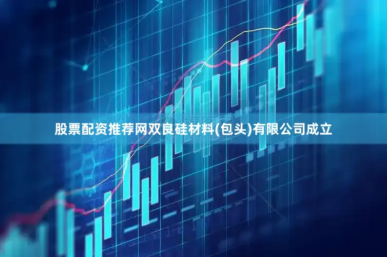 股票配资推荐网双良硅材料(包头)有限公司成立