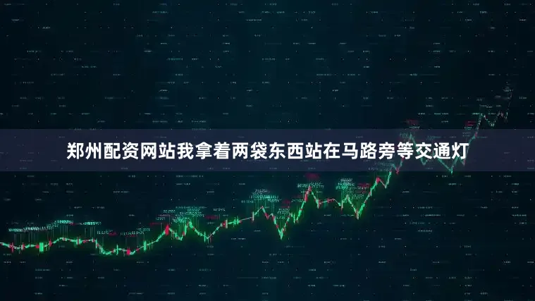 郑州配资网站我拿着两袋东西站在马路旁等交通灯